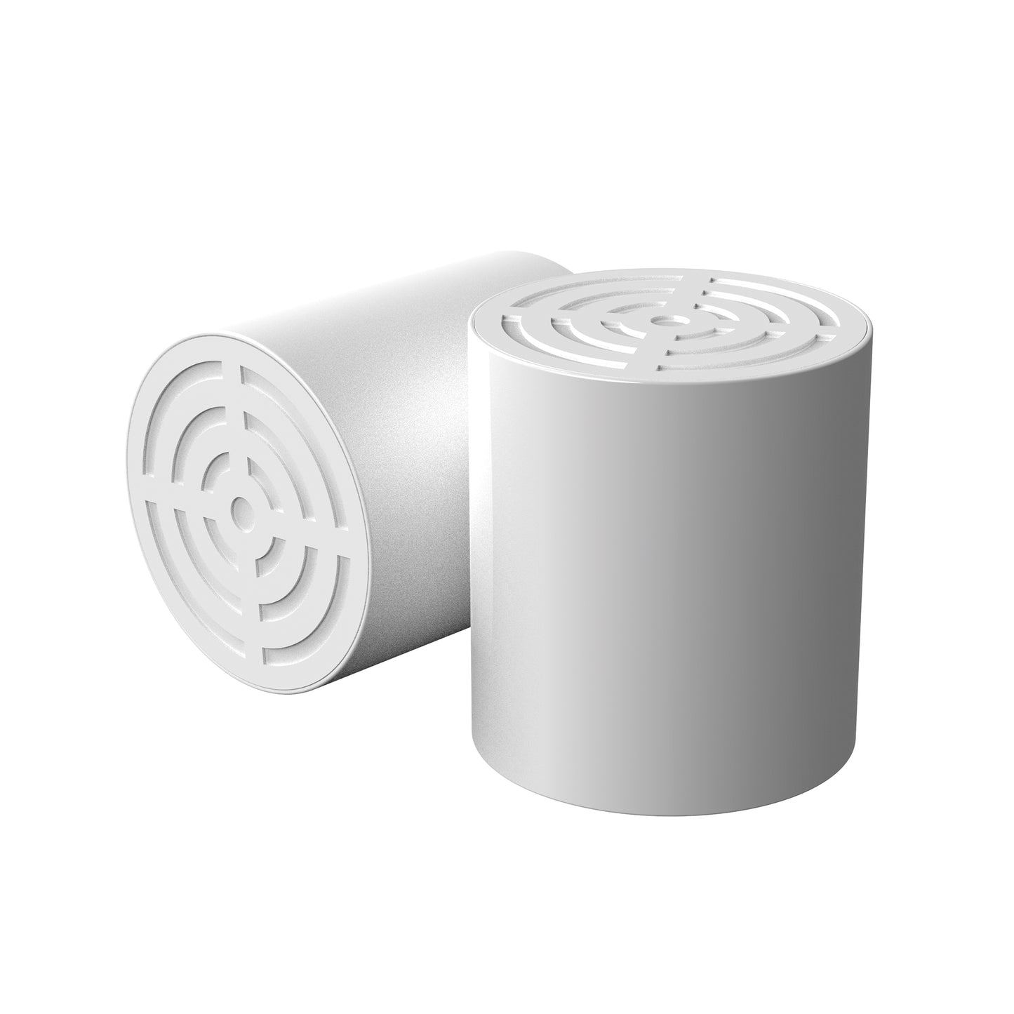 Puretec Shower Filter
