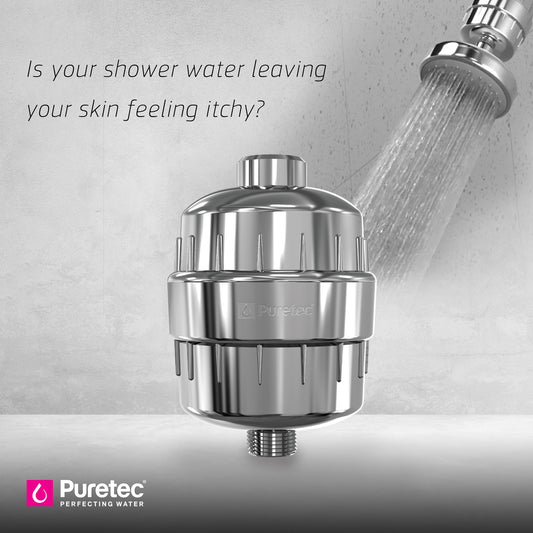Puretec Shower Filter